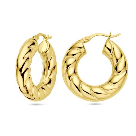 Verguld zilveren klapooringen bewerkt oppervlakte