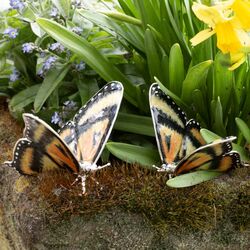 Groot stel zilveren vlinders bezet met emaille gemaakt door Saturno te italie