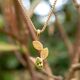 Bastian Inverun verguld zilveren hanger Spring Leaves