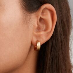 BOCCIA oorringen diamantjes 0539-19 verguld titanium