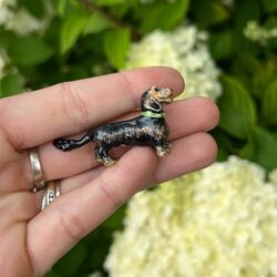 Saturno zilveren teckel ruwharig