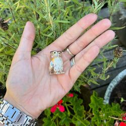 Saturno  zilveren uil emaille middel