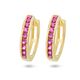 Gouden oorringen met fuchsia zirkoniaatjes