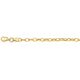 Gouden anker armabnd 3,1mm 18,5 cm lang