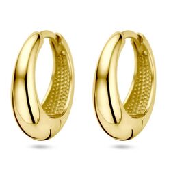 Geelgouden oorringen glanzend 14,5 mm