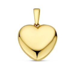Geelgouden harthanger 18 mm