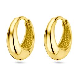 Geelgouden oorringen glanzend 12,5 mm