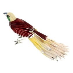 Saturno zilveren paradijs vogel