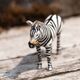 Saturno zilveren zebra baby