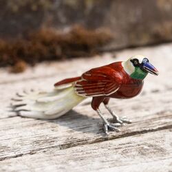 Saturno zilveren paradijs vogel