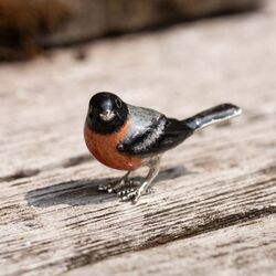 Saturno zilveren goudvink
