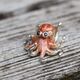 Saturno zilveren octopus oranje rood emaille