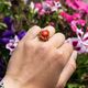 Vintage 14krt gouden ring met bloedkoraal