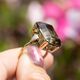 Vintage 9krt ring met kwarts