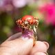 Vintage 14krt gouden ring met bloedkoraal
