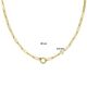 Gouden collier paperclip schakel met springslot