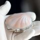 Poederdoos schelp met zilveren montuur Rusland 70er jaren