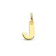 Gouden letter hanger