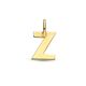 Gouden letter hanger