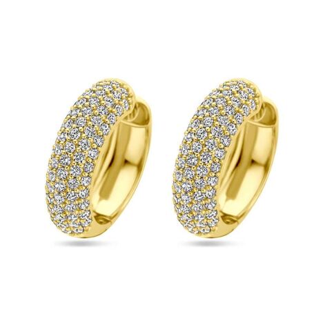 Verguld zilveren oorringen met zirkonia