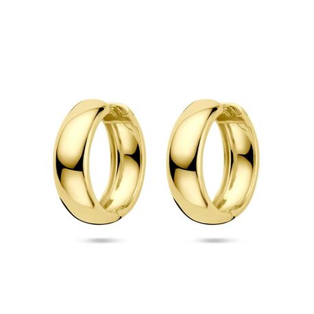 Verguld zilveren oorringen 25 mm