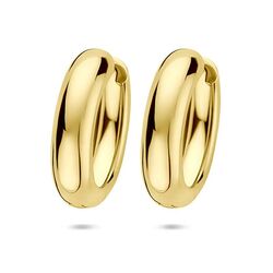 Verguld zilveren oorringen 25 x 17 mm