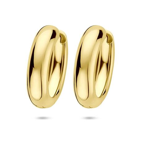 Verguld zilveren oorringen 25 x 17 mm