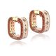 Etherna Collectie Oorbellen roséverguld zilver