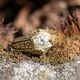 Vintage 14 krt gouden ring met diamant 0.50 handgegraveerde scheen