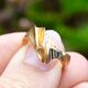 Vintage 14krt gouden Lapponia ring Tanga