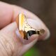 Vintage 14krt gouden Lapponia ring Tanga