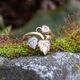 Vintage 14krt gouden ring tricolor bladeren met diamantjes