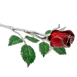 Saturno zilveren roos