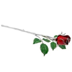 Saturno zilveren roos