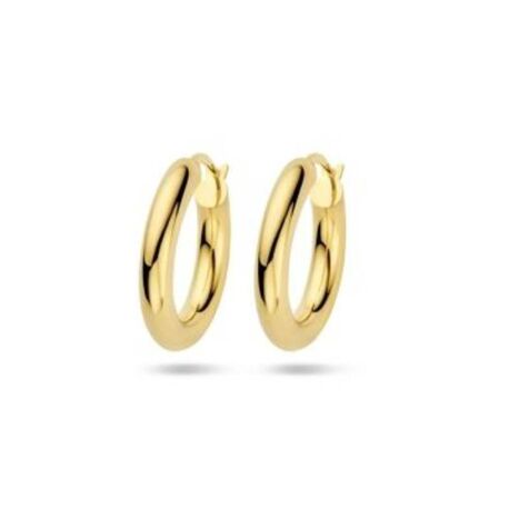 18 Karaat gouden oorringen 21 mm