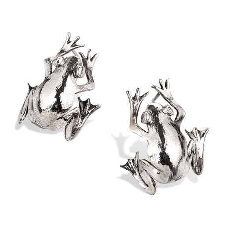 Bruno da Rocha zilveren oorstekers kikker