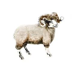 Saturno zilveren ram klein