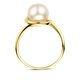 ring parel 10,5 mm