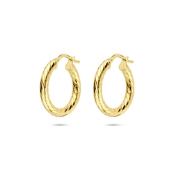 oorringen buis 3 mm SilGold