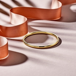 SilGold armband scharnier massief ovale buis 5mm