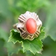 Vintage 14krt gouden ring met bloedkoraal