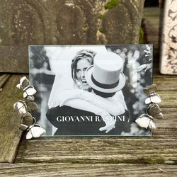 Zilver fotolijstje met vlinders raspini 