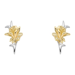 Laura Ashley oorstekers bicolor narcis