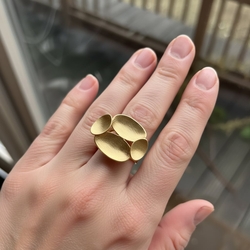 Bruno da Rocha verguld zilveren lelieblad