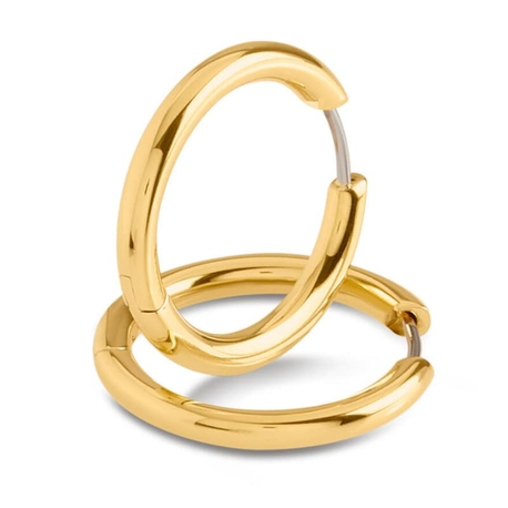 BOCCIA Titanium vergulde creolen 05072-02