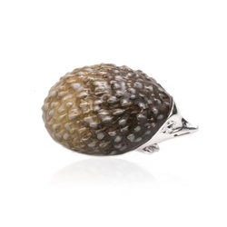 Saturno zilveren egel emaille