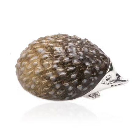 Saturno zilveren egel met emaille middenmaat