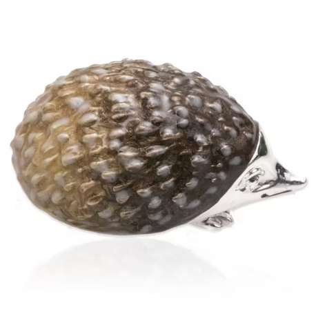 Saturno zilveren egel met emaille klein