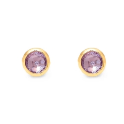 Giovanni Raspini verguld zilveren oorstekers Wisteria Loop