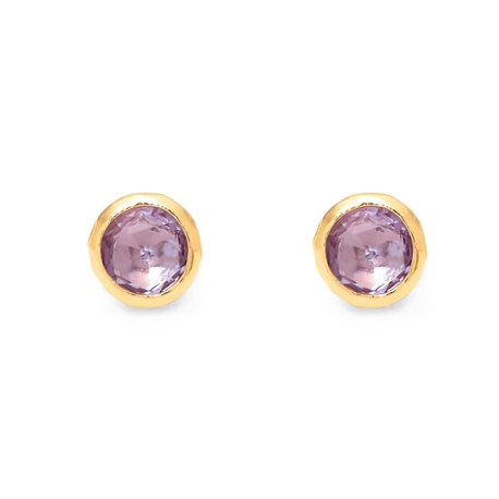 Giovanni Raspini verguld zilveren oorstekers Wisteria Loop